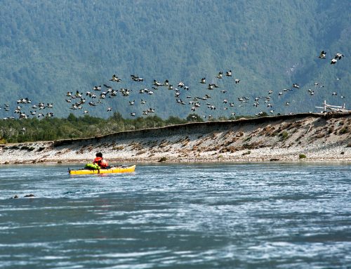 La comunidad del río Puelo solicita al Presidente de Chile la creación de una Reserva de Agua